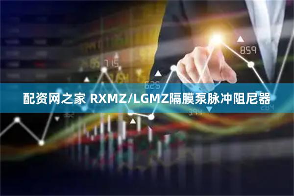 配资网之家 RXMZ/LGMZ隔膜泵脉冲阻尼器