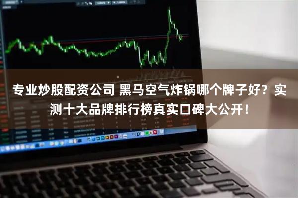 专业炒股配资公司 黑马空气炸锅哪个牌子好？实测十大品牌排行榜真实口碑大公开！