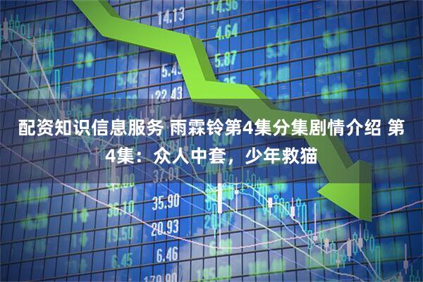 配资知识信息服务 雨霖铃第4集分集剧情介绍 第4集：众人中套，少年救猫